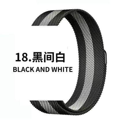 Pallaband ™️ Milanese iwatch1-9th Generation SE Stainless Steel Magnetic Buckle Strap - ANI-TECH