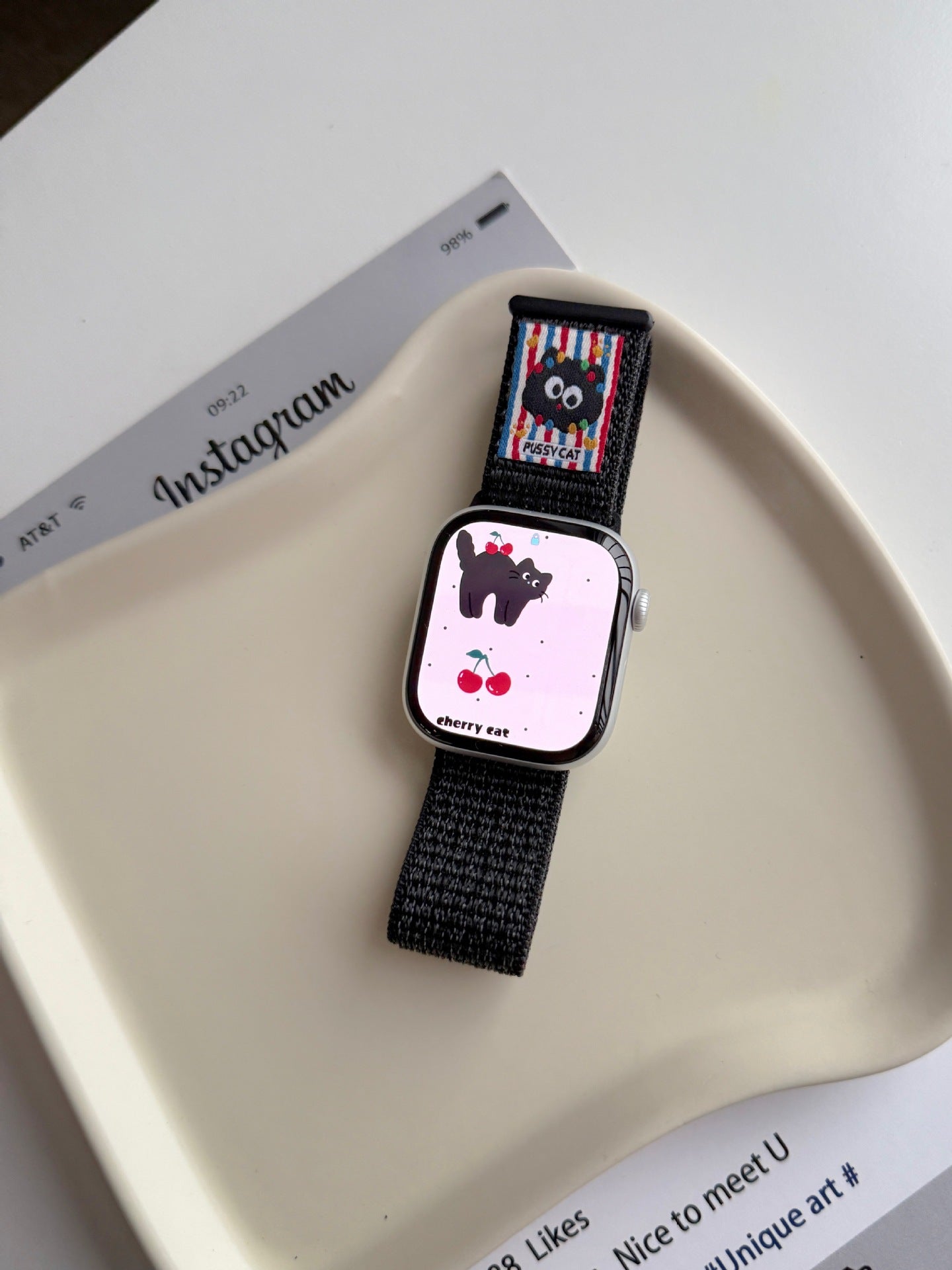 PallaBand Velcro Nylon Loop Sport Strap (iWatch) - ANI-TECH