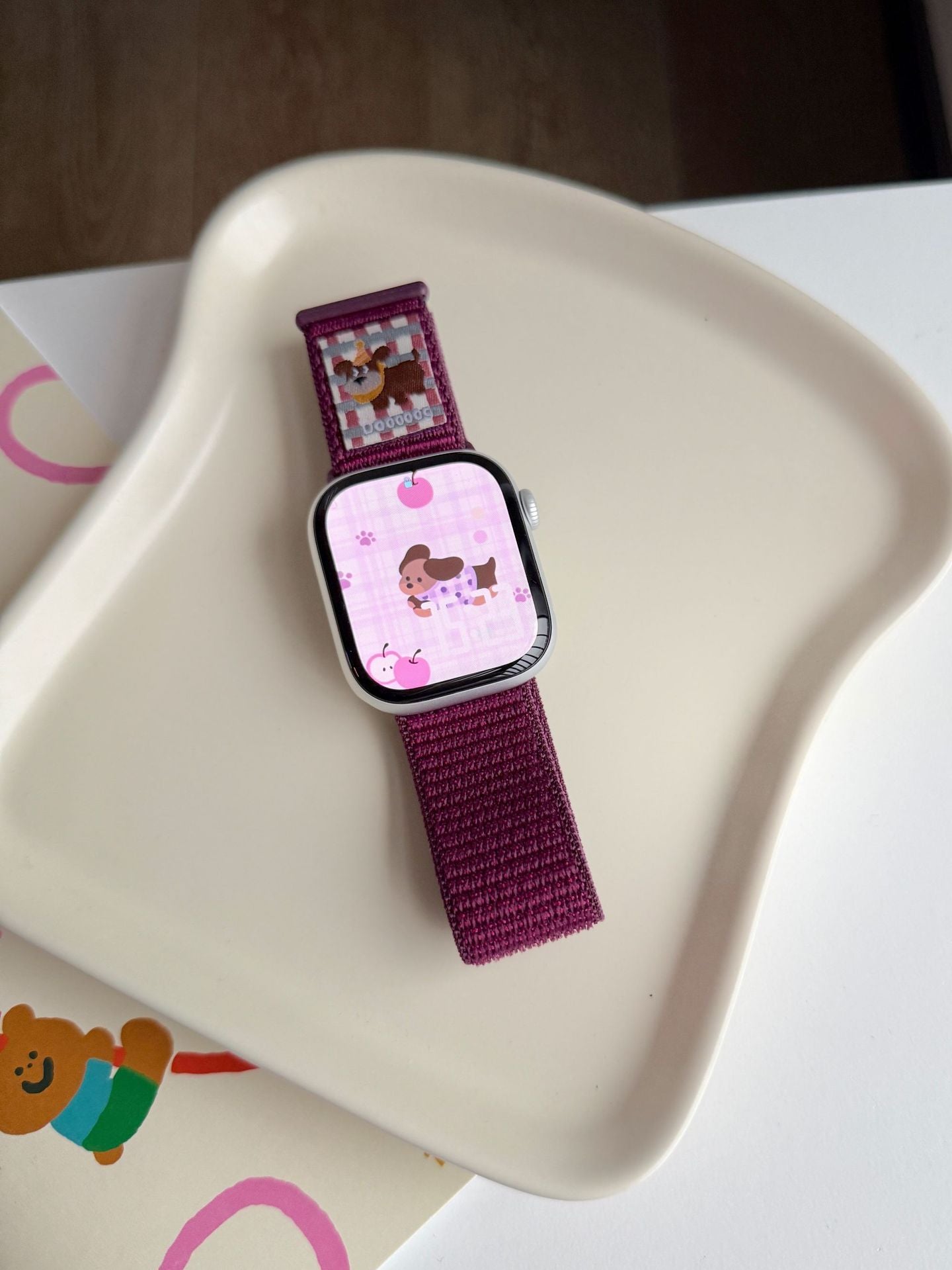PallaBand Velcro Nylon Loop Sport Strap (iWatch) - ANI-TECH