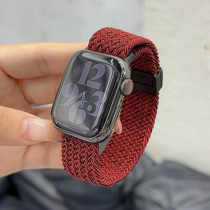 PallaBand Braided Magnetic Strap Ultra Apple Watch iwatch10 Stretch Nylon - ANI-TECH