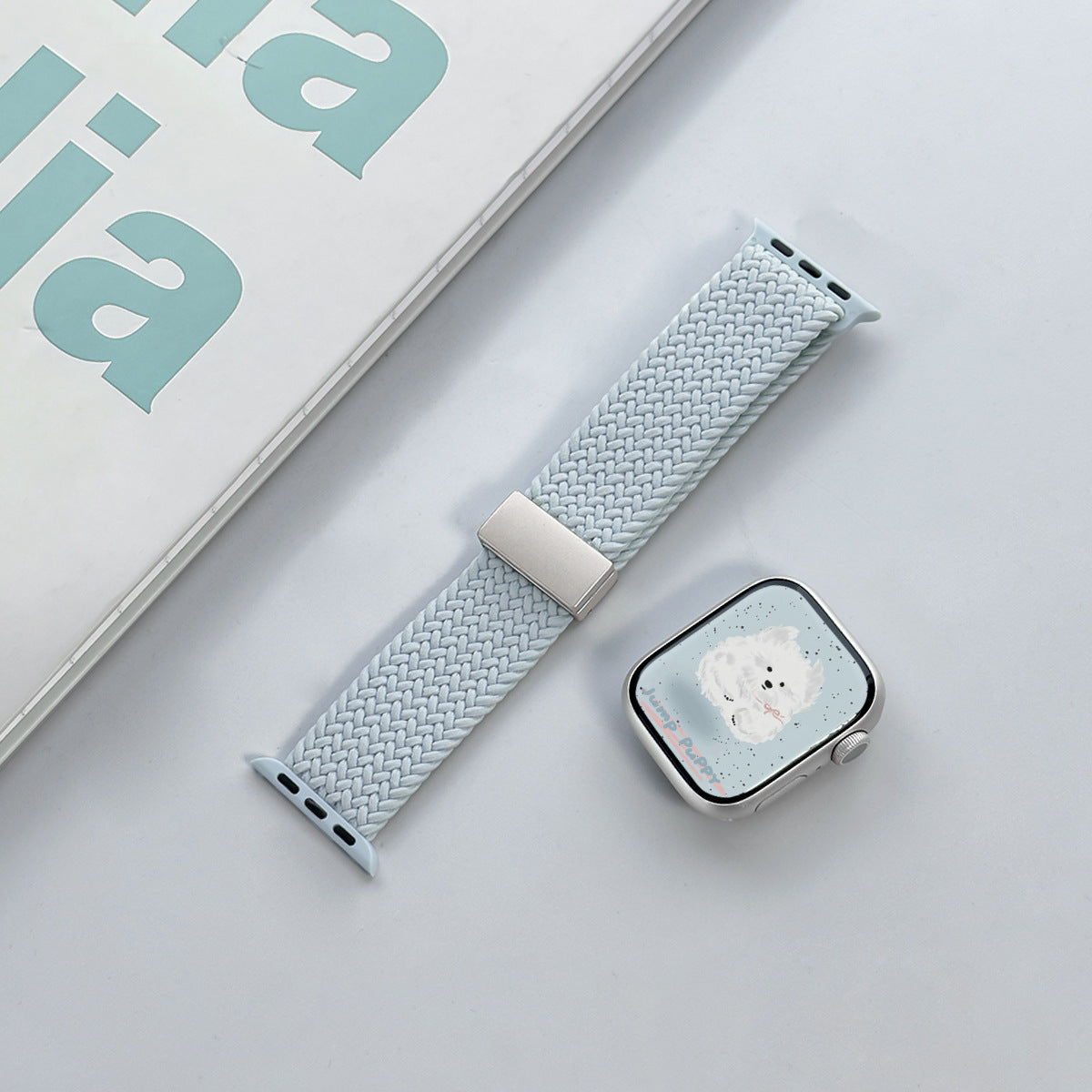 PallaBand Light Mint Series Braided Silicone (iWatch) - ANI-TECH