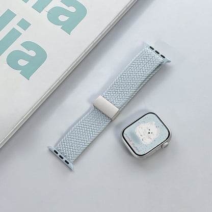 PallaBand Light Mint Series Braided Silicone (iWatch) - ANI-TECH